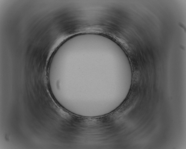 X0000091521470200709071005