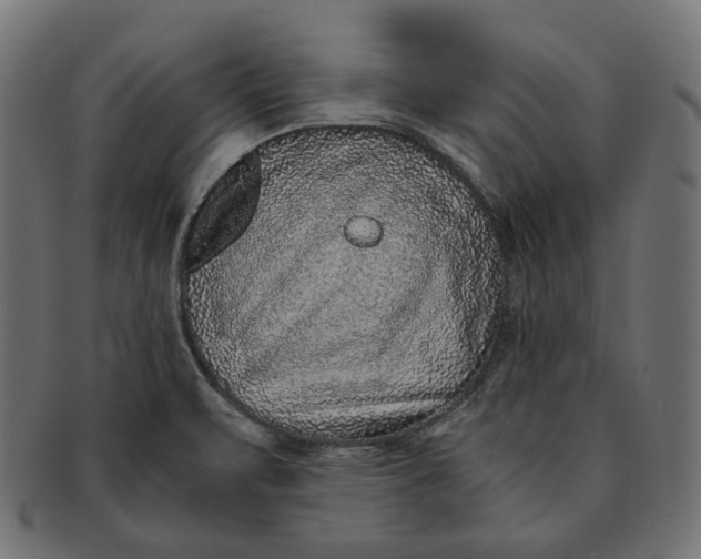 X0000091521471200709071005