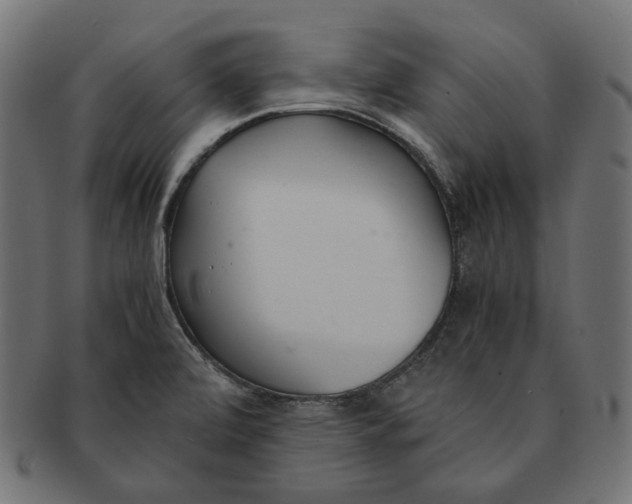 X0000091521472200709071005