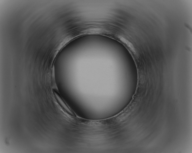 X0000091521473200709071005