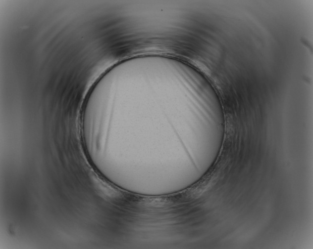 X0000091521474200709071005