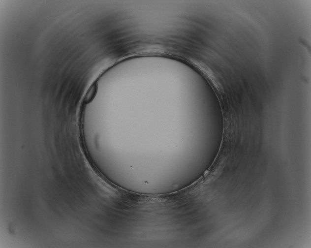 X0000091521475200709071005