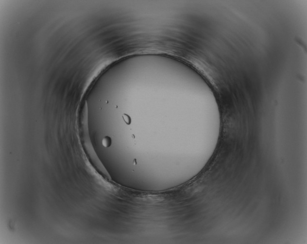 X0000091521476200709071005