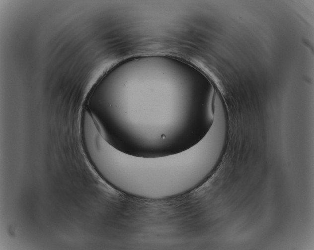 X0000091521477200709071005