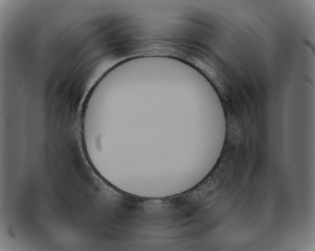 X0000091521478200709071005