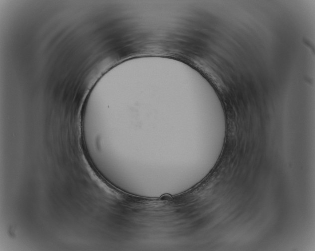 X0000091521479200709071005