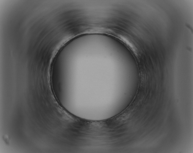 X0000091521480200709071005