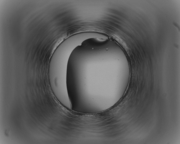 X0000091521481200709071005