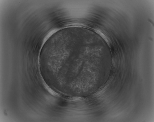 X0000091521482200709071005