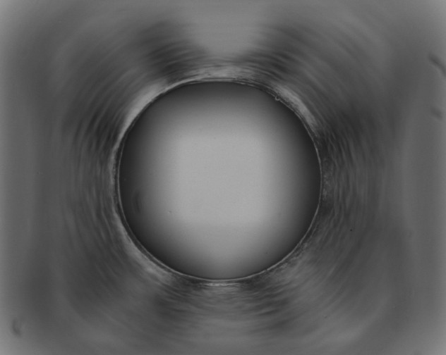 X0000091521483200709071005