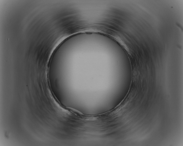 X0000091521484200709071005