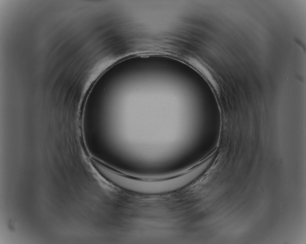 X0000091521485200709071005