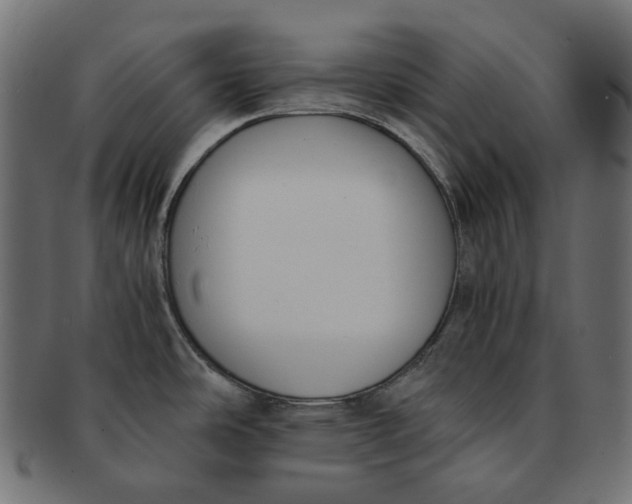 X0000091521486200709071005