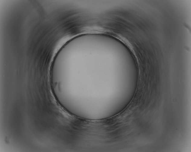 X0000091521488200709071005