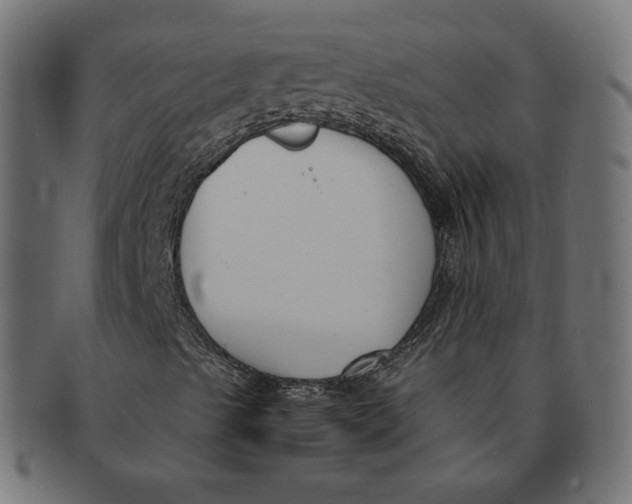 X0000091521489200709071004