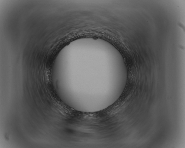 X0000091521490200709071005