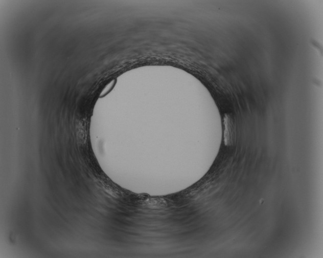 X0000091521491200709071005