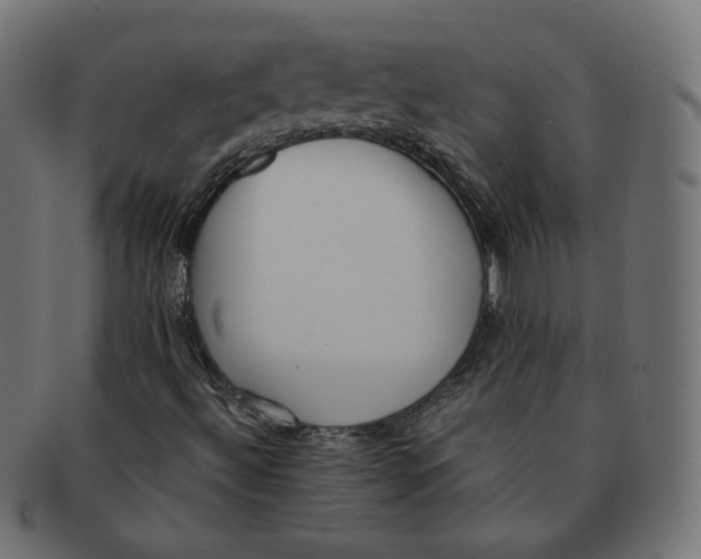 X0000091521492200709071005