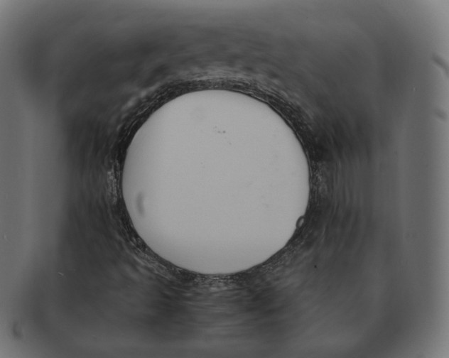 X0000091521493200709071005