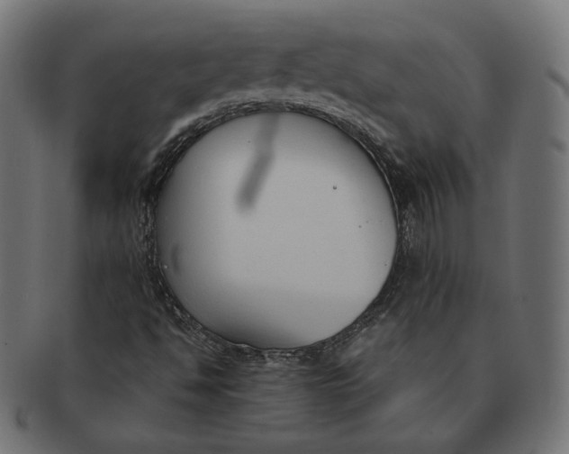 X0000091521494200709071005