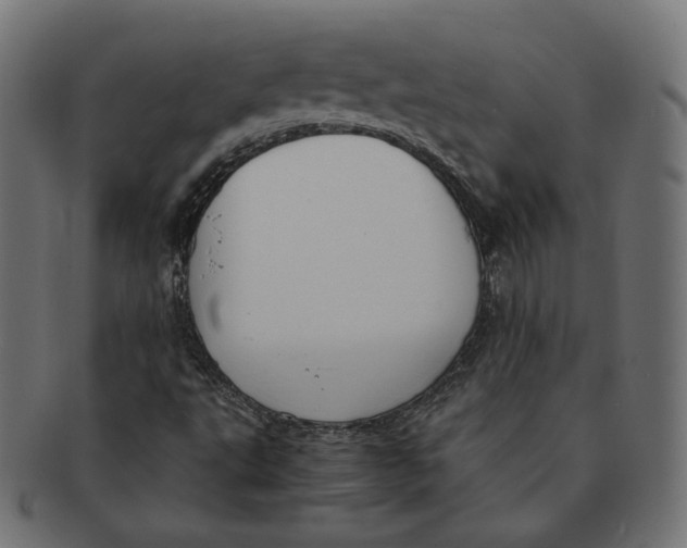 X0000091521495200709071005