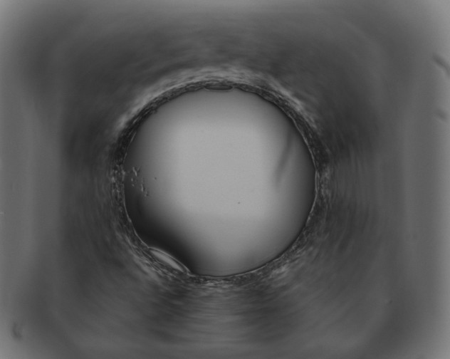 X0000091521496200709071005