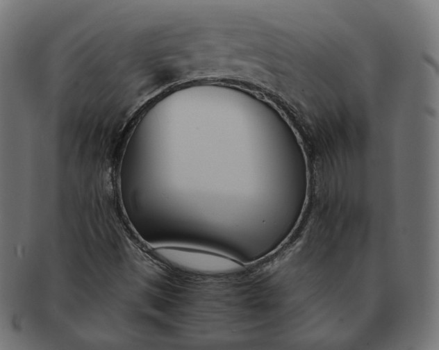 X0000091521497200709071005