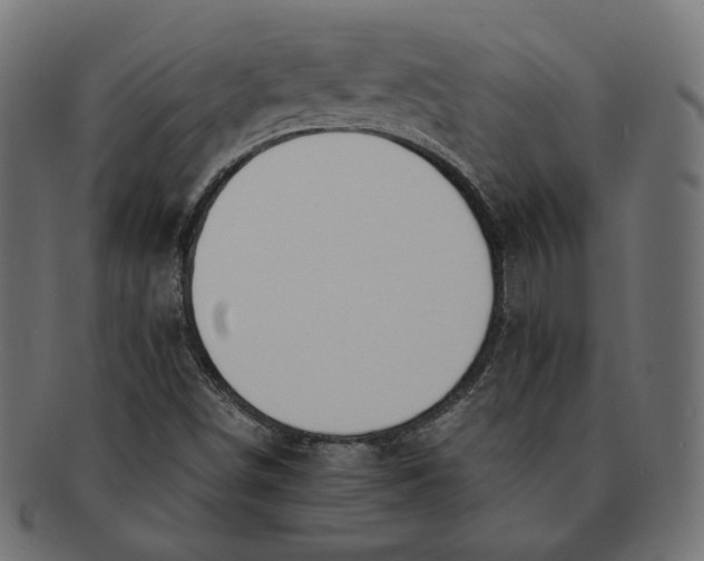 X0000091521498200709071005