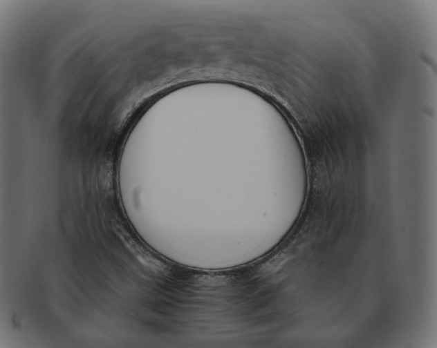 X0000091521499200709071005