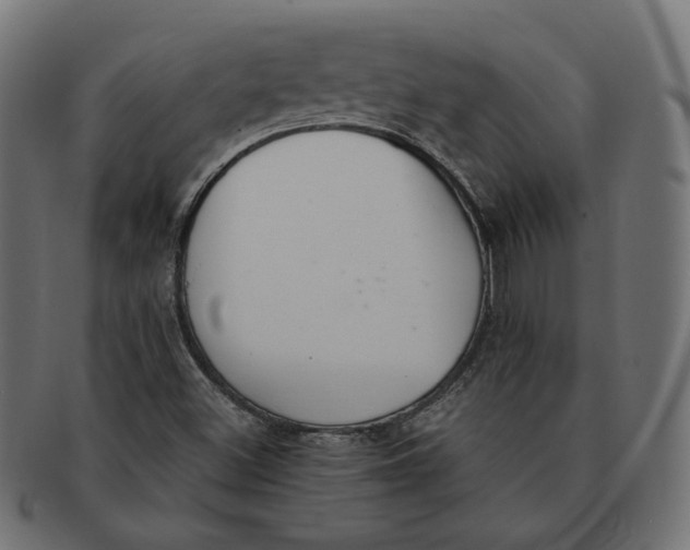 X0000091521500200709071005