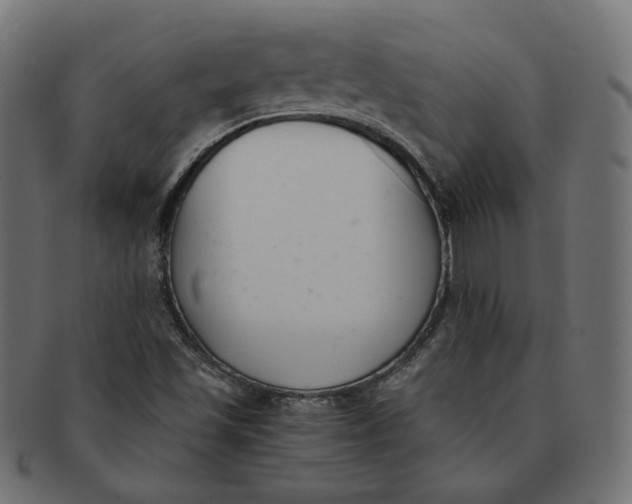 X0000091521501200709071005