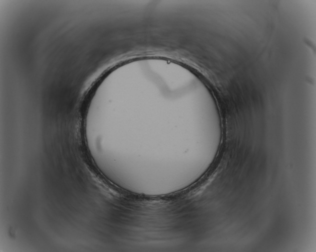 X0000091521502200709071005