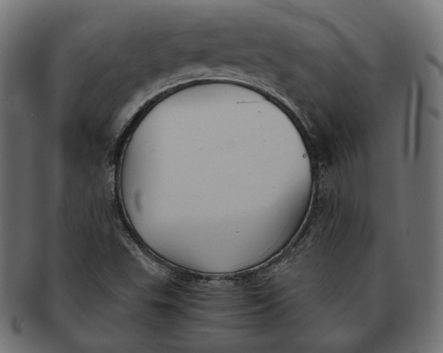 X0000091521503200709071005