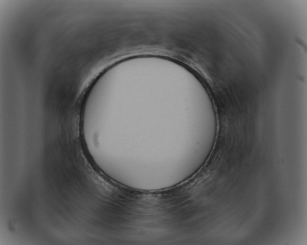 X0000091521504200709071005