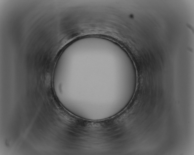 X0000091521505200709071005