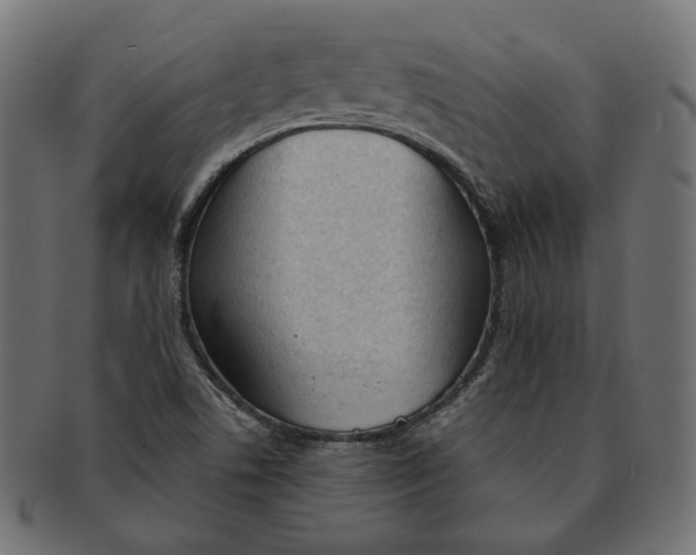 X0000091521506200709071005