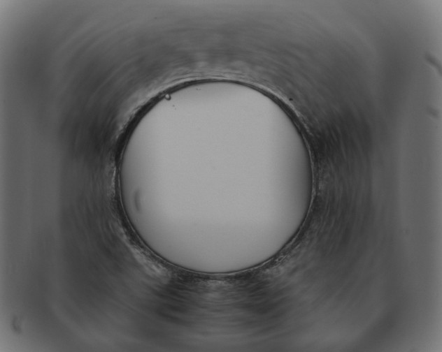 X0000091521507200709071005