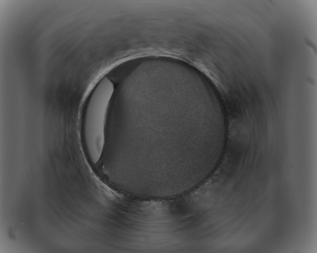 X0000091521508200709071005