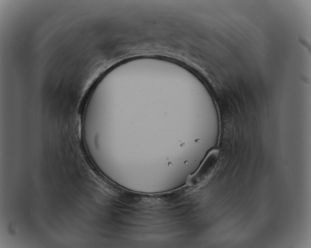 X0000091521509200709071005