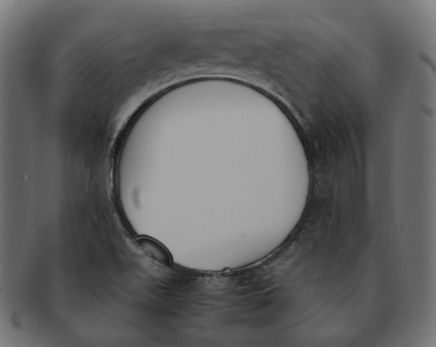 X0000091521511200709071005