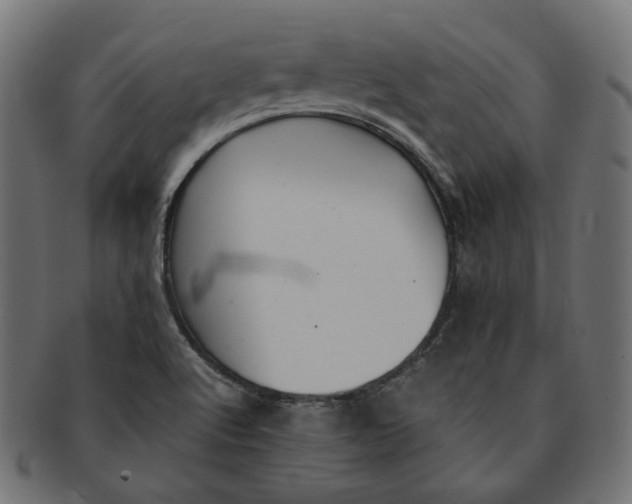 X0000091521512200709071005