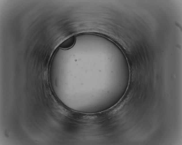 X0000091521513200709071005