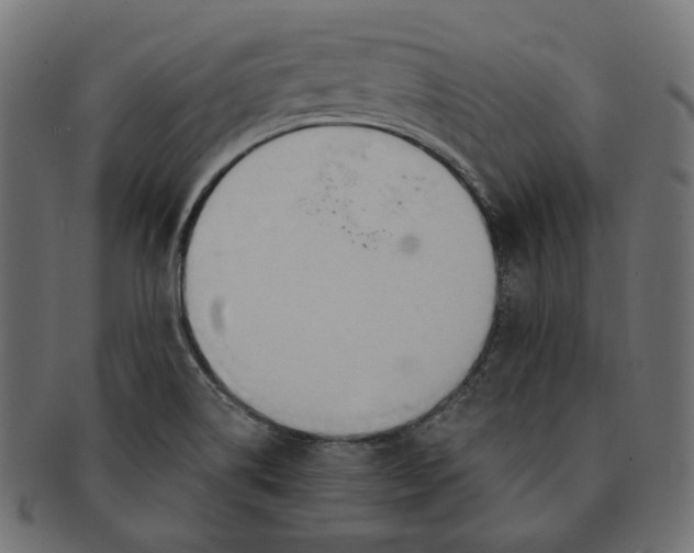 X0000091521514200709071005