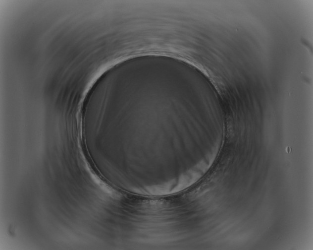 X0000091521515200709071005