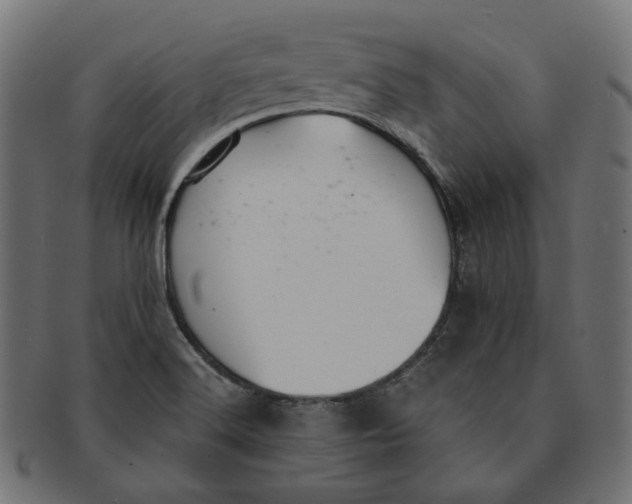 X0000091521516200709071005