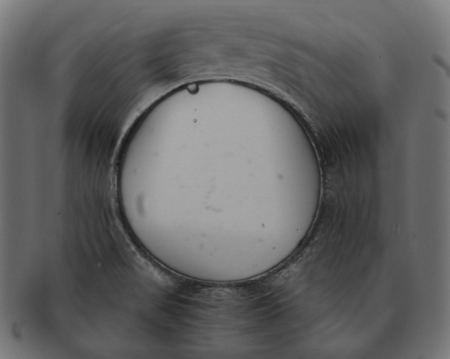 X0000091521517200709071005