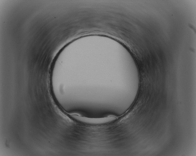 X0000091521518200709071005