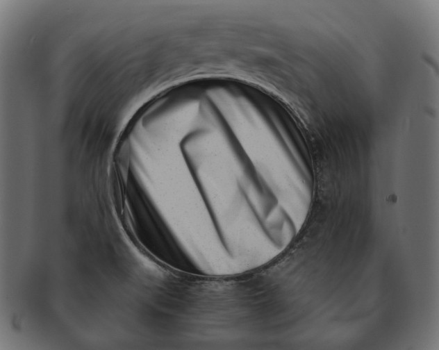 X0000091521519200709071005