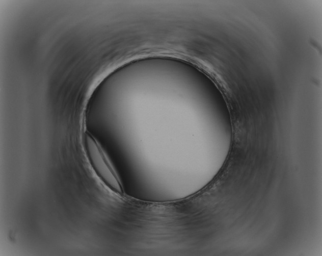 X0000091521520200709071005