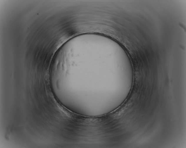 X0000091521521200709071005